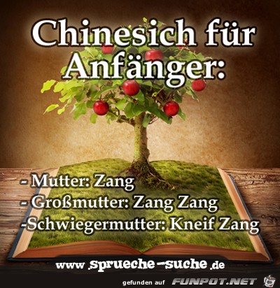 Chinesich-fuer-Anfaenger