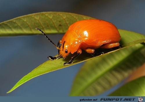 beeindruckende und kuriose Bilder aus verschiedenen Blogs