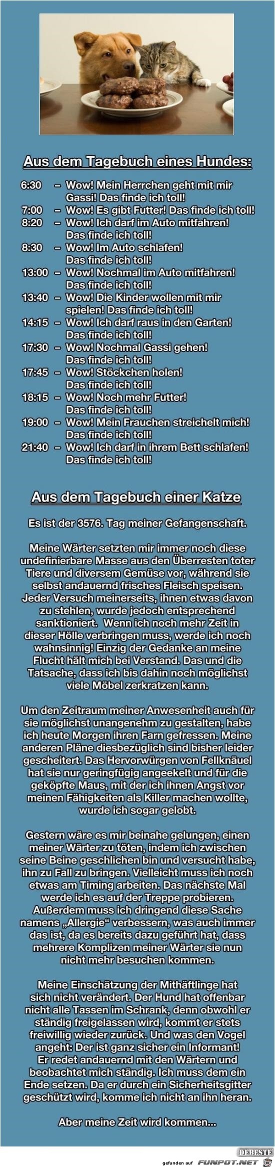aus dem Tagebuch eines Hundes..... aus dem Tagebuch eines Hundes.....