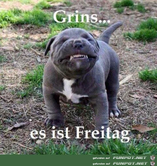 grins - endlich Freitag