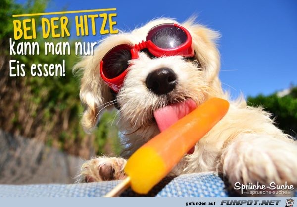 Bei der Hitze kann man nur Eis essen Bei der Hitze kann man nur Eis essen