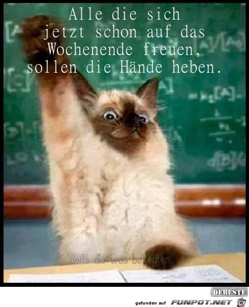 diie Haende heben...... diie Haende heben......