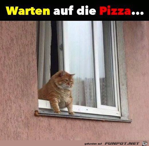Warten Warten