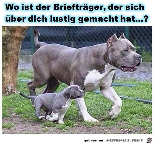 Wo ist der Brieftrger...