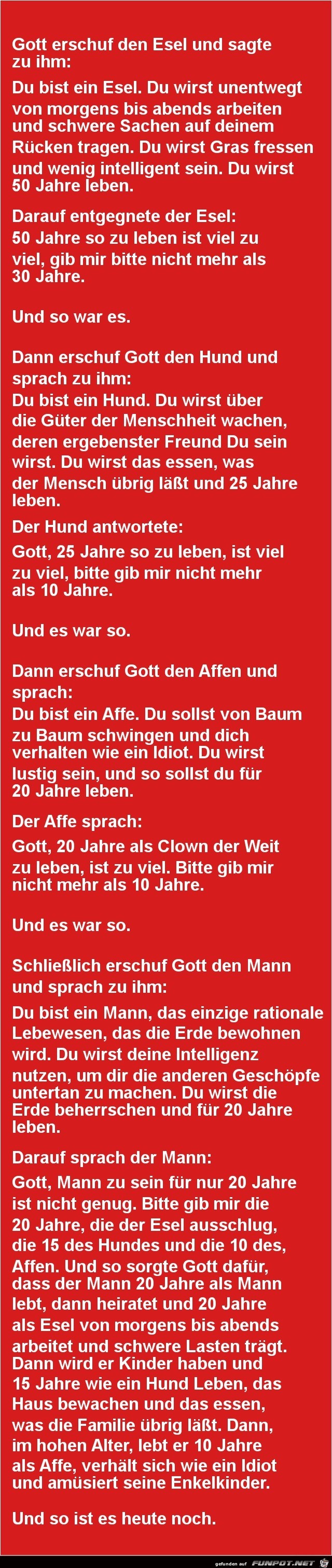Gott erschuf den Esel... Gott erschuf den Esel...