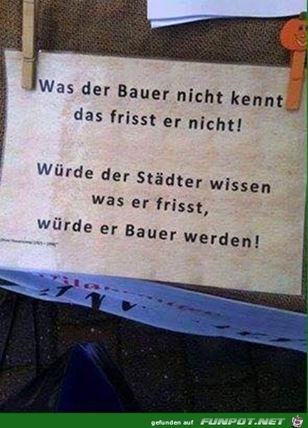 Der Bauer Der Bauer
