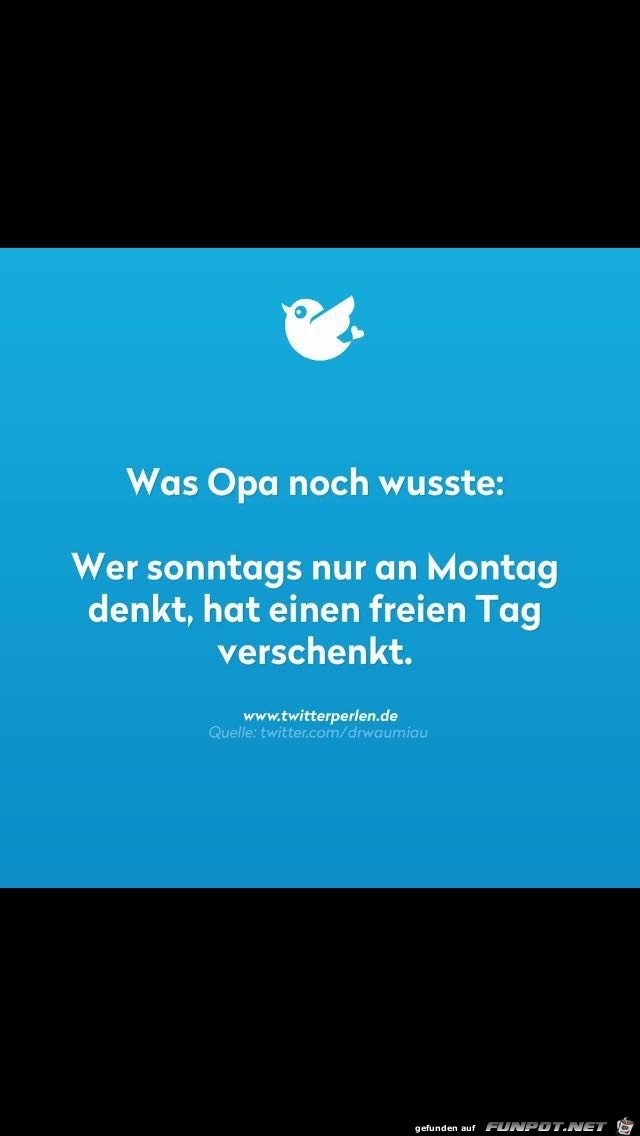 Opa Opa