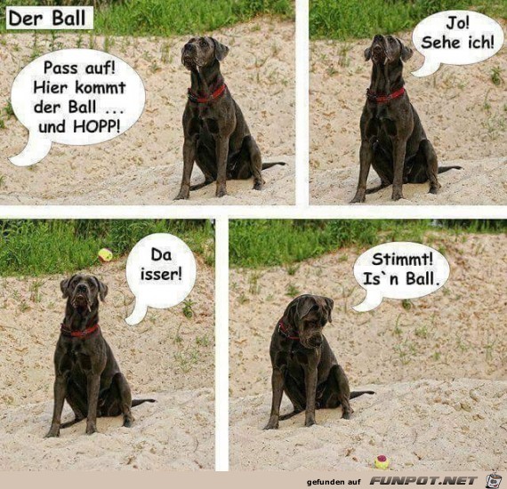 Ein Ball Ein Ball