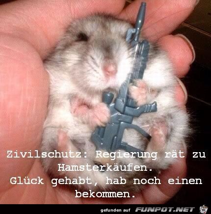 Hamsterkauf Hamsterkauf