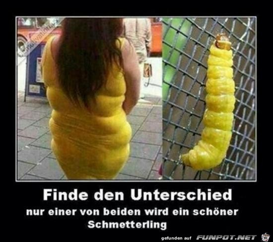 finde den Unterschied......