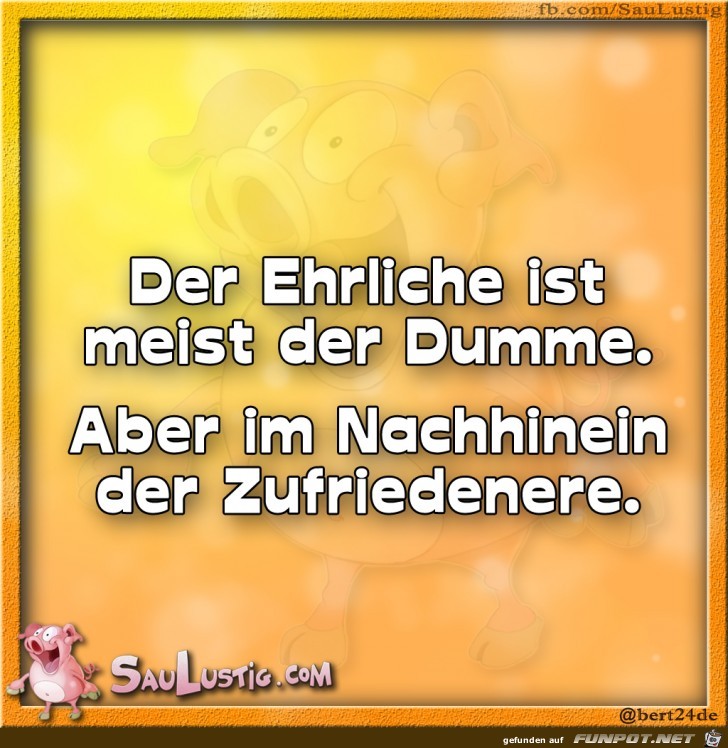 Der-ehrliche-ist-meist-der-Dumme Der-ehrliche-ist-meist-der-Dumme