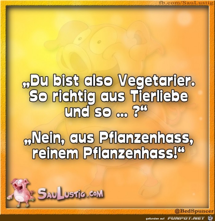 Du-bist-als-Vegetarier