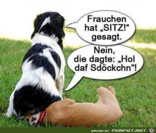 Falsch verstanden Falsch verstanden