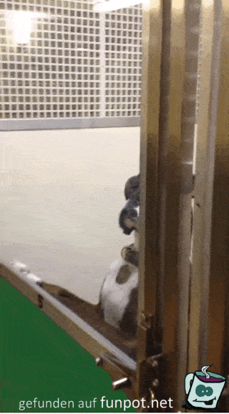 gif Ich habe dich im Blick gif Ich habe dich im Blick