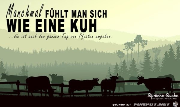 Manchmal fühlt man sich... Manchmal fühlt man sich...