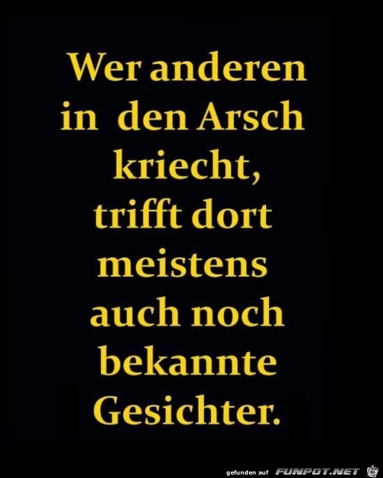 wer anderen in den Arsch kriecht.......