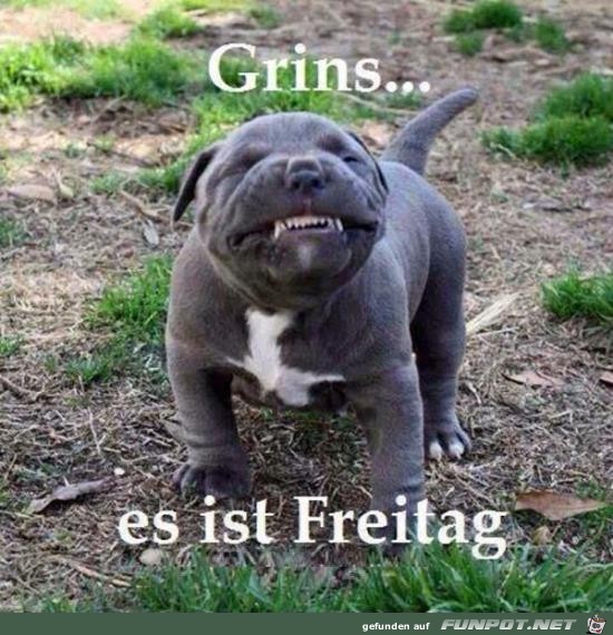 es ist Freitag