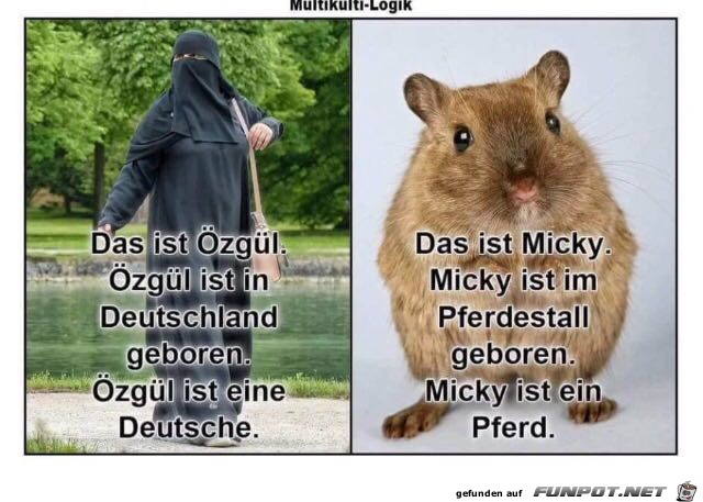 ohne Worte ohne Worte