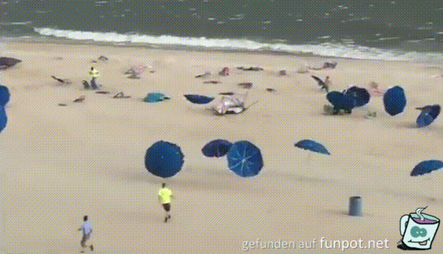 gif Ziemlich windig gif Ziemlich windig