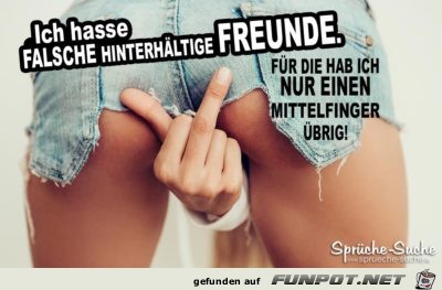 falsche-freunde........