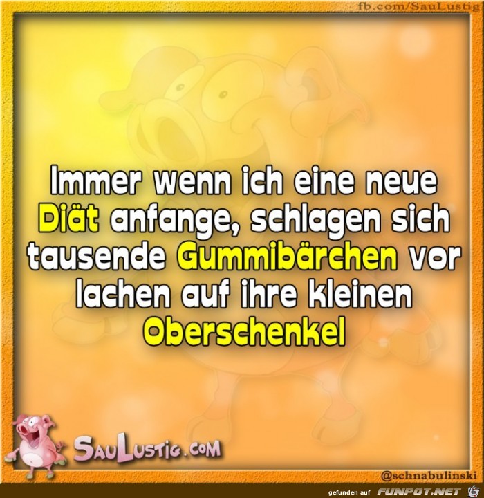 Immer-wenn-ich-eine-neue-Diaet-anfange Immer-wenn-ich-eine-neue-Diaet-anfange