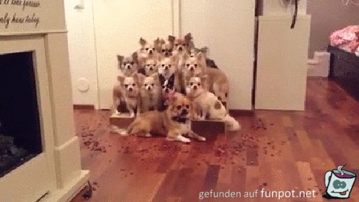Achtung fertig los Achtung fertig los