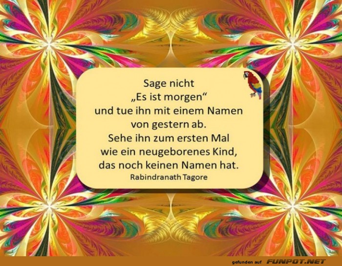 Sage nicht Sage nicht