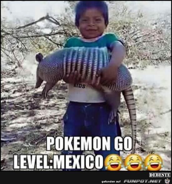 Pokemon Pokemon
