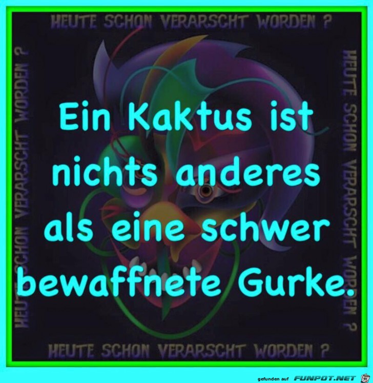 Ein Kaktus Ein Kaktus