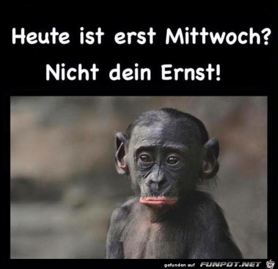 erst Mittwoch......