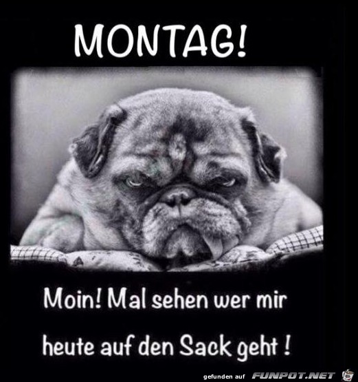 Montag