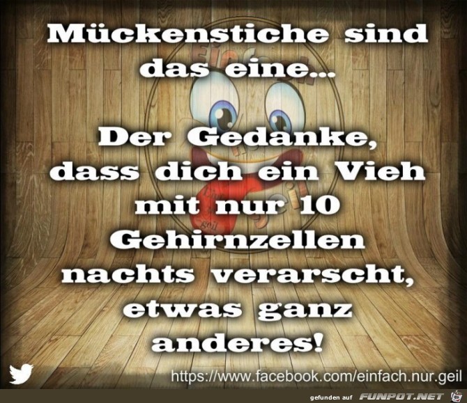Mueckenstiche Mueckenstiche