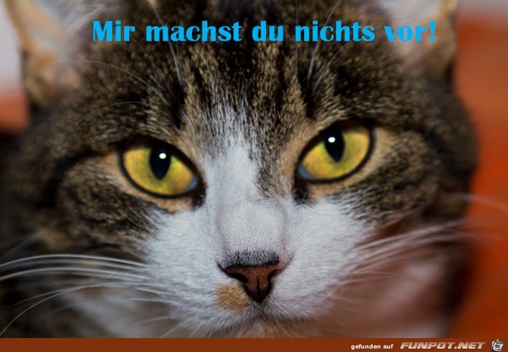 Mir machst du nichts vor Mir machst du nichts vor