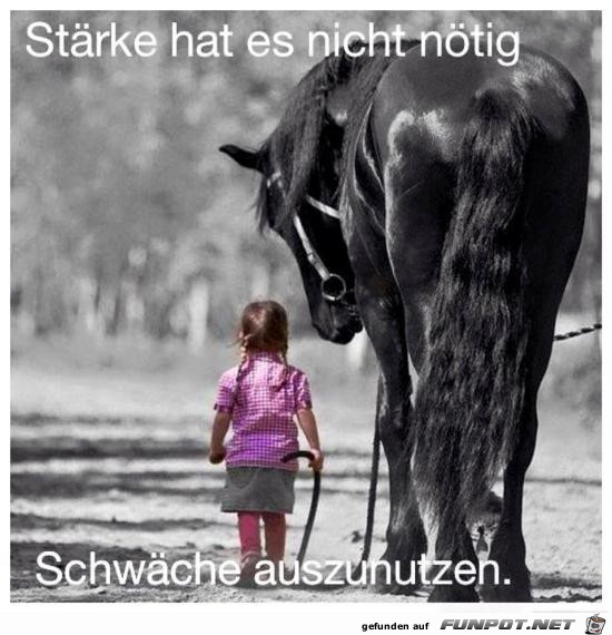 Strke hat es nicht ntig.....