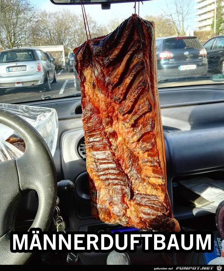 Maennerduftbaum Maennerduftbaum