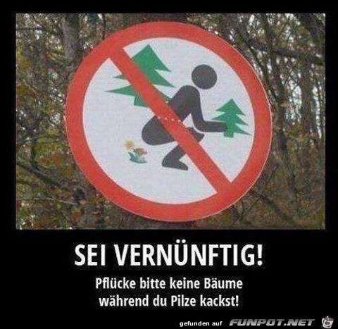 Sei vernuenftig im Wald