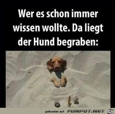 Wer es schon immer wissen wollte... Wer es schon immer wissen wollte...