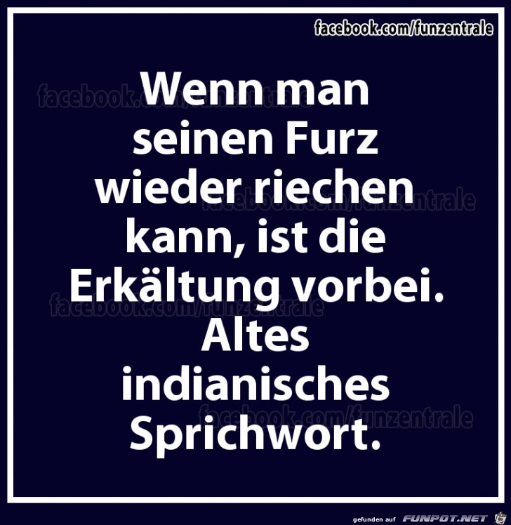 Altes Indianisches Sprichwort Altes Indianisches Sprichwort