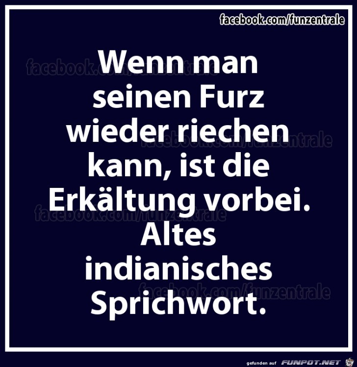 Altes Indianisches Sprichwort