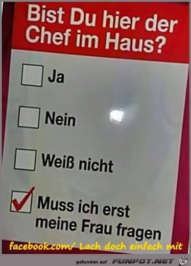 Chef im Haus Chef im Haus