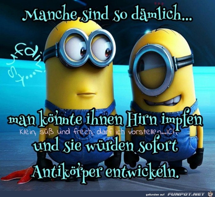 Manche sind so daemlich Manche sind so daemlich