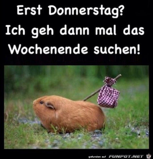 Donnerstag Donnerstag