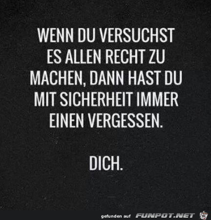 Allen recht machen