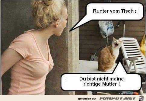 Runter Vom Tisch