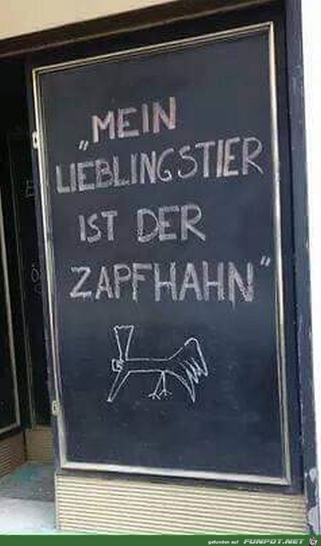 Mein Lieblingstier Mein Lieblingstier