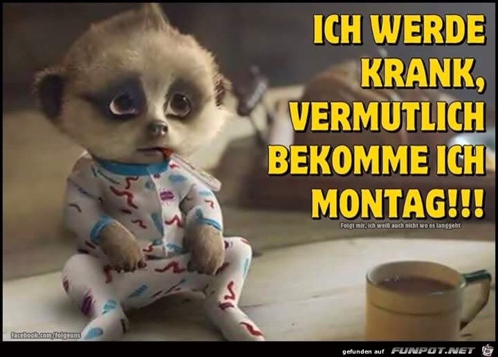 Ich werde krank... Ich werde krank...