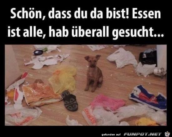 Essen ist alle...... Essen ist alle......