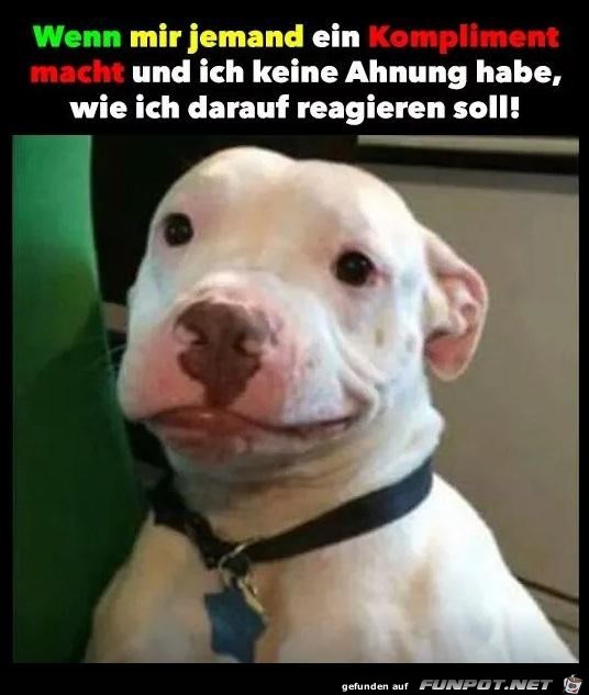 wenn mir jemand ein Kompliment macht.... wenn mir jemand ein Kompliment macht....