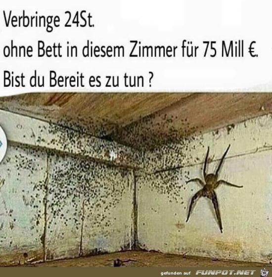 bist du bereit?....