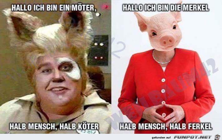 Verwechslungsgefahr Verwechslungsgefahr
